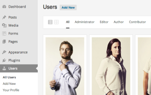 A closer look at the grid view of the users section in the WordPress admin panel