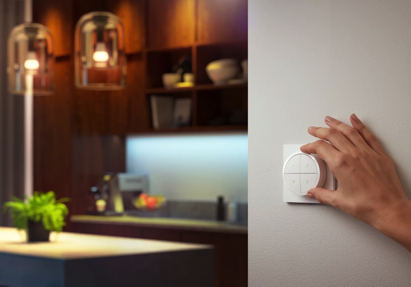 Philips Hue Tap dial switch - Philips Hue Philips Hue